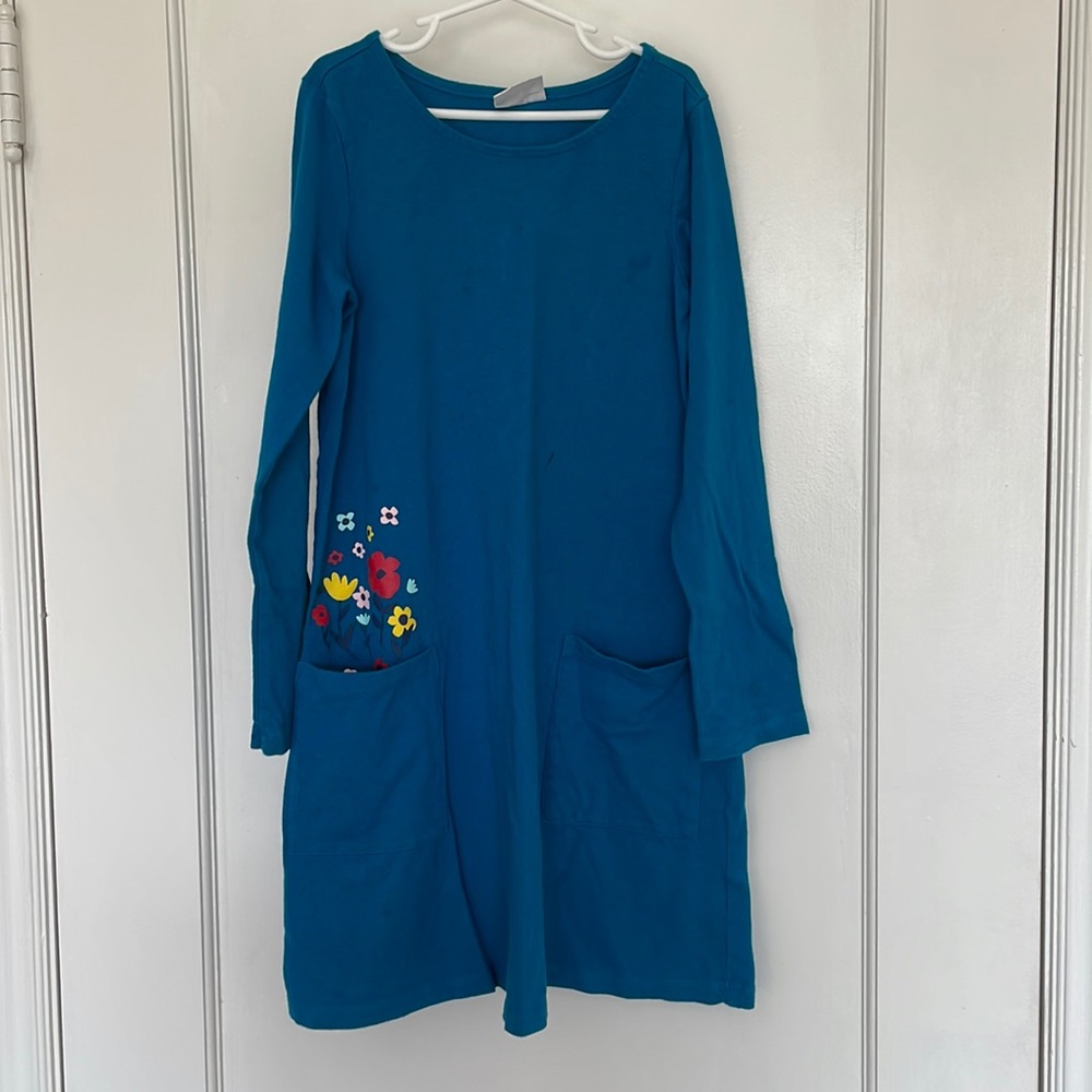 Blue Hanna Andersson dress